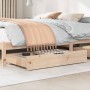 Drawers under bed with wheels, 2 units, solid pine wood by , Home storage drawers - Ref: Foro24-850920, Price: 67,02 €, Disco...