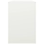 Leñero de acero blanco 100x40x60 cm de , Bolsas y soportes de leña - Ref: Foro24-850983, Precio: 111,49 €, Descuento: %