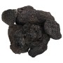 Rocas volcánicas negras 10 kg 10-30 cm de , Decoración de acuarios - Ref: Foro24-3217188, Precio: 41,21 €, Descuento: %