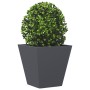 Jardinera hexagonal acero antracita 30x30x30 cm de , Maceteros y jardineras - Ref: Foro24-851042, Precio: 41,68 €, Descuento: %