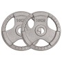 Olympic weight plates 2 pcs cast iron 20 kg by , free weight - Ref: Foro24-93616, Price: 74,21 €, Discount: %