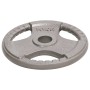 Olympic weight plates 2 pcs cast iron 20 kg by , free weight - Ref: Foro24-93616, Price: 74,21 €, Discount: %