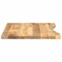 Tablero escritorio con curva madera mango rugosa 100x60x2,5 cm | Foro24|Onlineshop| Casa, Jardín y Más Foro24.es