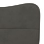 2 pcs light gray velvet dining chairs | Foro24|Onlineshop| Casa, Jardín y Más Foro24.es