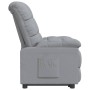 Sillón reclinable de tela gris claro de , Sillones - Ref: Foro24-342721, Precio: 184,34 €, Descuento: %