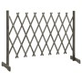 Trellis garden fence solid gray fir wood 150x80 cm by vidaXL, fence panels - Ref: Foro24-314827, Price: 33,95 €, Discount: %