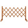 Fenced garden gate made of solid orange fir wood 120x60 cm by vidaXL, fence panels - Ref: Foro24-314822, Price: 20,49 €, Disc...