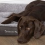 Scruffs Cozy Pet Bed Gray XL by Scruffs, Beds for dogs - Ref: Foro24-433293, Price: 93,99 €, Discount: %