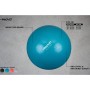 Avento Pelota de fitness/gimnasio 55 cm diámetro azul de Avento, Balones de gimnasia - Ref: Foro24-433417, Precio: 22,47 €, D...