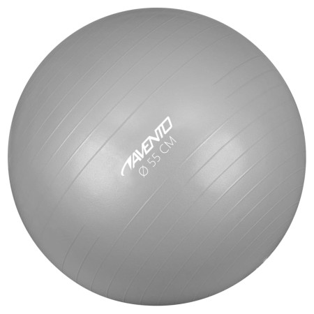 Avento Fitness/gym ball 55 cm diameter silver by Avento, gym balls - Ref: Foro24-433419, Price: 19,99 €, Discount: %