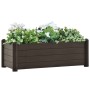 Arriate elevado de jardín PP color moca 100x43x35 cm de vidaXL, Maceteros y jardineras - Ref: Foro24-313976, Precio: 85,68 €,...