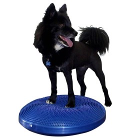 FitPAWS Pet Balance Disc Blue 56 cm by FitPAWS, Pet Exercise Equipment - Ref: Foro24-433819, Price: 90,99 €, Discount: %