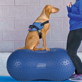 FitPAWS Pet Balance Platform Trax Peanut Blue 60 cm by FitPAWS, Pet Exercise Equipment - Ref: Foro24-433836, Price: 110,84 €,...