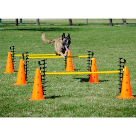 FitPAWS Hindernisspiel von FitPAWS, Trainingsgeräte für Haustiere - Ref: Foro24-433823, Preis: 208,23 €, Rabatt: %