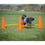 FitPAWS Juego de obstáculos de FitPAWS, Equipos para el ejercicio de mascotas - Ref: Foro24-433823, Precio: 208,23 €, Descuen...