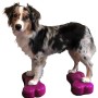 FitPAWS Mini-Hunde-Balance-Plattform K9FITbone 2 Einheiten 29x16,5x6cm von FitPAWS, Trainingsgeräte für Haustiere - Ref: Foro...