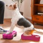 FitPAWS Mini-Hunde-Balance-Plattform K9FITbone 2 Einheiten 29x16,5x6cm von FitPAWS, Trainingsgeräte für Haustiere - Ref: Foro...