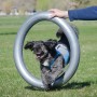 FitPAWS Donut-Ständer Grau 63 cm von FitPAWS, Trainingsgeräte für Haustiere - Ref: Foro24-433821, Preis: 42,57 €, Rabatt: %