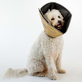 All Four Paws Comfy Cone Elektronisches Haustierhalsband Braun M 20 cm von All Four Paws, Elisabethanische Haustierhalsbänder...