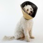 All Four Paws Collar electrónico de mascotas Comfy Cone marrón M 20 cm de All Four Paws, Collares isabelinos para mascotas - ...