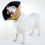 All Four Paws Collar electrónico de mascotas Comfy Cone marrón M 20 cm de All Four Paws, Collares isabelinos para mascotas - ...