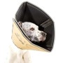 All Four Paws Collar electrónico de mascotas Comfy Cone marrón M 20 cm de All Four Paws, Collares isabelinos para mascotas - ...