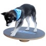 FitPAWS Balance Board schwarz 50 cm von FitPAWS, Trainingsgeräte für Haustiere - Ref: Foro24-433830, Preis: 89,33 €, Rabatt: %