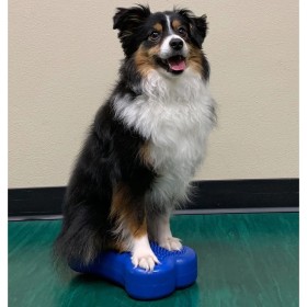 FitPAWS Mini Pet Balance Platform K9FITbone 2 Stück Blau von FitPAWS, Trainingsgeräte für Haustiere - Ref: Foro24-433831, Pre...