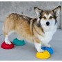 FitPAWS Haustierpfoten-Balance-Zubehör, 4er-Pack von FitPAWS, Trainingsgeräte für Haustiere - Ref: Foro24-433835, Preis: 79,4...