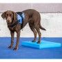 FitPAWS Pet Balance Matte Blau 38x46x5 cm von FitPAWS, Trainingsgeräte für Haustiere - Ref: Foro24-433820, Preis: 70,99 €, Ra...