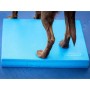 FitPAWS Pet Balance Matte Blau 38x46x5 cm von FitPAWS, Trainingsgeräte für Haustiere - Ref: Foro24-433820, Preis: 70,99 €, Ra...