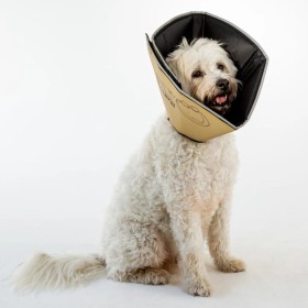 All Four Paws Comfy Cone Elektronisches Haustierhalsband Braun L 25 cm von All Four Paws, Elisabethanische Haustierhalsbänder...