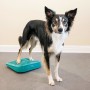 FitPAWS Rampa de equilibrio para mascotas azul 35x35x7 cm de FitPAWS, Equipos para el ejercicio de mascotas - Ref: Foro24-433...