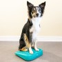 FitPAWS Rampa de equilibrio para mascotas azul 35x35x7 cm de FitPAWS, Equipos para el ejercicio de mascotas - Ref: Foro24-433...