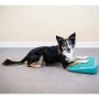 FitPAWS Pet Balance Ramp Blau 35x35x7 cm von FitPAWS, Trainingsgeräte für Haustiere - Ref: Foro24-433817, Preis: 44,99 €, Rab...