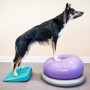 FitPAWS Rampa de equilibrio para mascotas azul 35x35x7 cm de FitPAWS, Equipos para el ejercicio de mascotas - Ref: Foro24-433...