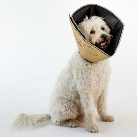 All Four Paws Comfy Cone Elektronisches Haustierhalsband Braun XL 30 cm von All Four Paws, Elisabethanische Haustierhalsbände...