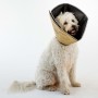 All Four Paws Comfy Cone Elektronisches Haustierhalsband Braun XS 11 cm von All Four Paws, Elisabethanische Haustierhalsbände...