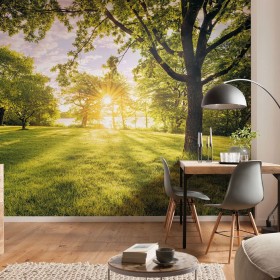 Komar Mural fotográfico Golden Moment 400x250 cm de Komar, Papel pintado - Ref: Foro24-434234, Precio: 168,99 €, Descuento: %