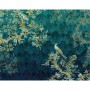 Komar Photo mural Paradis 350x260 cm by Komar, Painted paper - Ref: Foro24-434239, Price: 129,39 €, Discount: %