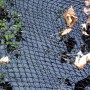 Anti-leaf net for ponds, 6 x 10 m, Velda brand by Velda, Accessories for ponds and fountains - Ref: Foro24-403208, Price: 150...