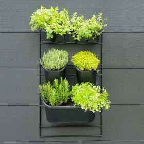 Nature Kit de pared para jardín vertical de Nature, Maceteros y jardineras - Ref: Foro24-434650, Precio: 72,65 €, Descuento: %