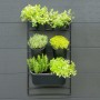 Nature Vertical Garden Wall Kit by Nature, Pots and planters - Ref: Foro24-434650, Price: 72,65 €, Discount: %