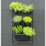 Nature Kit de pared para jardín vertical de Nature, Maceteros y jardineras - Ref: Foro24-434650, Precio: 74,06 €, Descuento: %