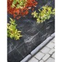 Nature Black anti-weed ground cover 2x10 m by Nature, anti-weed meshes - Ref: Foro24-434647, Price: 37,24 €, Discount: %