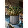 Capi Urban Tube Planter Dunkelgrau 35x34 cm von Capi, Töpfe und Pflanzgefäße - Ref: Foro24-434884, Preis: 56,99 €, Rabatt: %