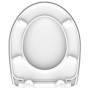 SCHÜTTE Duroplast toilet seat with gloss and soft closing RELAXING FROG by SCHÜTTE, Toilet and bidet seats - Ref: Foro24-4351...