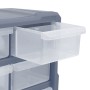 Organizador multicajones con 18 cajones intermedios 38x16x47 cm de vidaXL, Cajas de herramientas - Ref: Foro24-149598, Precio...