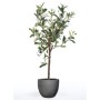 Emerald Künstlicher Mini-Olivenbaum 65 cm von Emerald, Künstliche Flora - Ref: Foro24-435920, Preis: 43,48 €, Rabatt: %