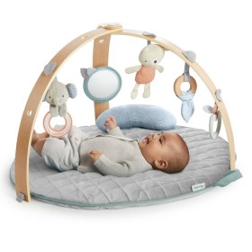 Ingenuity Cozy Spot Reversible Activity Gym von Ingenuity, Aktivitäts- und Gymnastikmatten - Ref: Foro24-438921, Preis: 103,9...